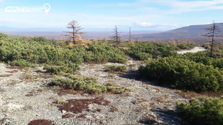 Поиск жетона в г. Магадан - Осенний сезон 2018