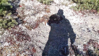 Поиск жетона в г. Магадан - Осенний сезон 2018