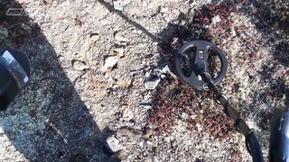 Поиск жетона в г. Магадан - Осенний сезон 2018