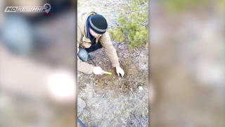 Поиск жетона в г. Улан-Удэ - Осень 2018