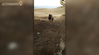 Поиск жетона в г. Улан-Удэ - Осень 2018