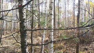 МДКЕШИНГ г. Хабаровск - Осень 2018