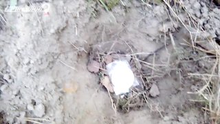 МДКЕШИНГ г. Пенза - Лето 2018