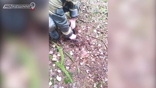 МДКЕШИНГ г. Кострома - Осень 2018