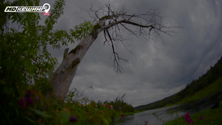 МДКЕШИНГ г. Москва - Осень 2018