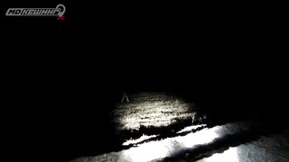 Поиск жетона в г. Москва #4 жетон - Осень 2018