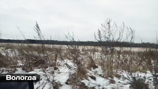 МДКЕШИНГ г. Вологда - Зима 2018