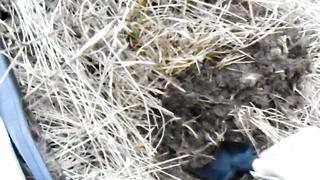 МДКЕШИНГ г. Симферополь- Зима 2019