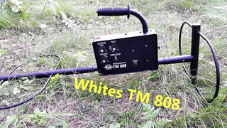 Whites TM 808 - Видеообзор глубинного металлоискателя