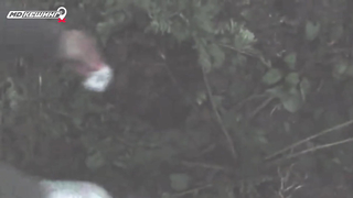 МДКЕШИНГ. Жетон в Перми!