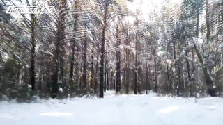 Арбалет Интерлопер Гепард. Жесть смотреть до конца!