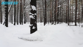 Garrett ACE 300i VS Minelab GO-FIND 60 - Битва металлодетекторов