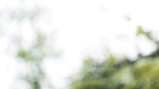 Minelab GPZ 7000 - Экспресс-обзор металлоискателя