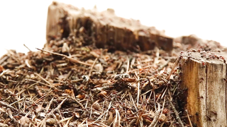 Первый старт МДКешинга от МДРЕГИОН! Киров, 2016