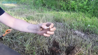 Тест Teknetics Eurotek - Проверяем прибор в деле. Обзор