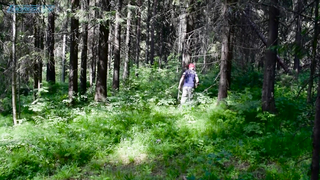 Тест TESORO CORTES - Проверяем прибор в лесу. Обзор