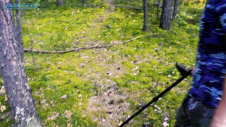 Тест-драйв Bounty Hunter Quick Draw Pro. Обзор металлоискателя