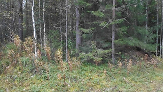 МДКЕШИНГ. Жетон в Архангельске!