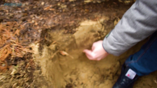 Quest Q40 - Тест на глубину, тест дискриминации