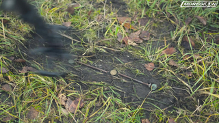 Quest Q20 - Все о металлоискателе. Обзор возможностей + тесты