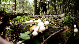 МДКЕШИНГ. ЖЕТОН В МОСКВЕ!
