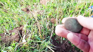 Неожиданная находка! Фартануло! Коп на старом поселении