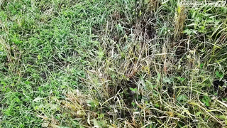 Неожиданная находка! Фартануло! Коп на старом поселении