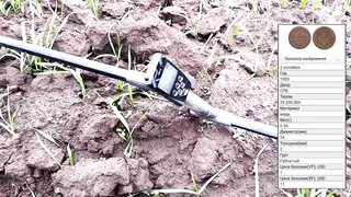 Очередная разведка на Вятской земле - Коп на старом поселении