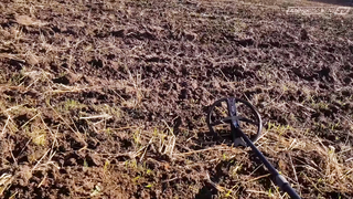 Поймал Царский Мегакрест на тесте обновленного XP Deus с катушкой X35