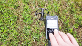 Поймал Царский Мегакрест на тесте обновленного XP Deus с катушкой X35