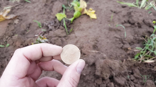 Вот это находка - Моя прелесть!