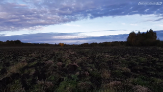 Вот это находка - Моя прелесть!