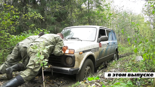 Чешуя, серебро. Чего только не найдёшь на выбитом месте!
