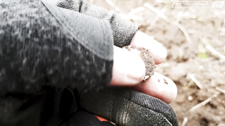 Чешуя, серебро. Чего только не найдёшь на выбитом месте!