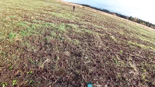 Как найти крупную монету на выбитом месте!