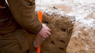 Тест-сравнение X-Terra 505 и Quest Pro