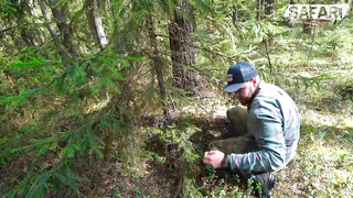 VLOG #7: ГРИБЫ / SAFARI