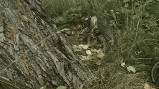 VLOG #9: РАЗВЕДКА