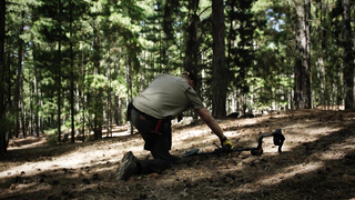 Minelab VANQUISH - новинка 2019 / ПРОМО