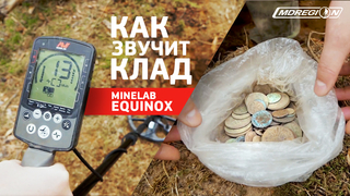 Minelab Equinox - как звучит клад?