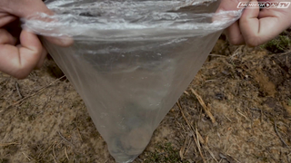 Minelab Equinox - как звучит клад?