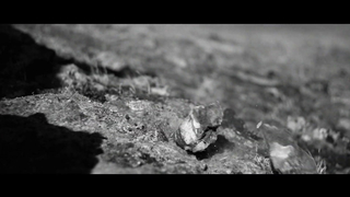 Minelab VANQUISH / Unearth Victory