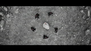 Minelab VANQUISH / Unearth Victory