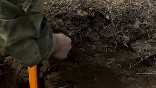 Тест катушки 6" для Minelab Equinox