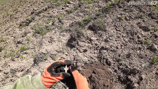 Quest X5 и X10 тестируем на старом поселении.