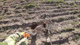 Quest X5 и X10 тестируем на старом поселении.