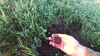 Двухдневный коп с ночёвкой. Разведка перспективных мест.