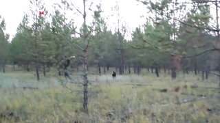 МДКЕШИНГ в Улан-Удэ. Жетон найден!