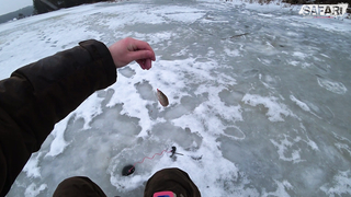 Зимняя рыбалка с эхолотом Deeper Pro+ / SAFARI