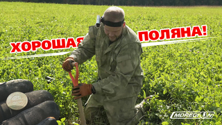 Раскупорили поляну  / МДРегион